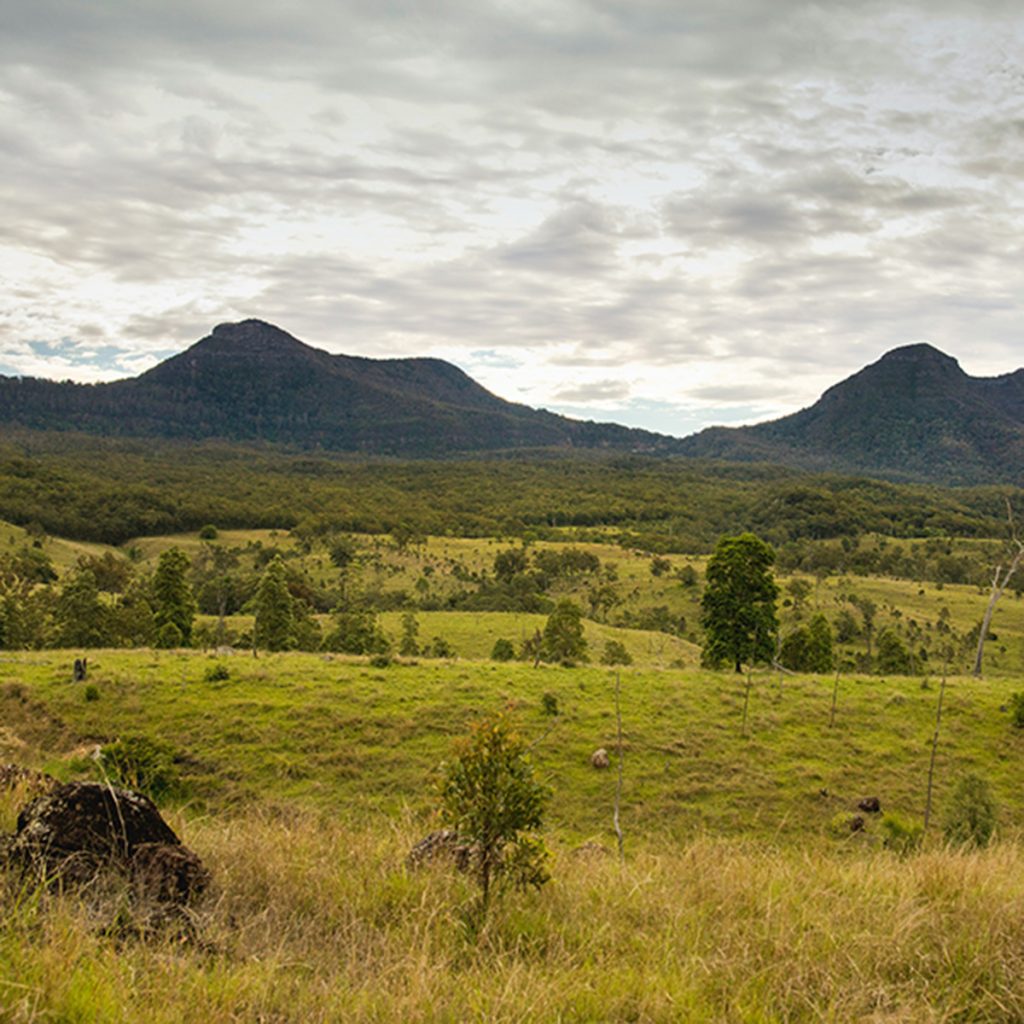 Diredt Care Resources Scenic Rim