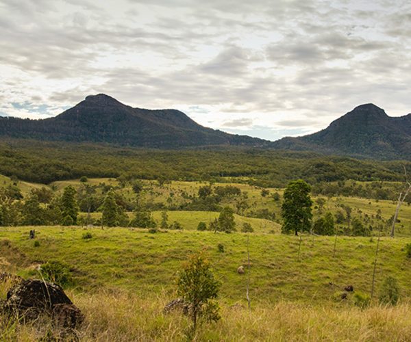 Diredt Care Resources Scenic Rim
