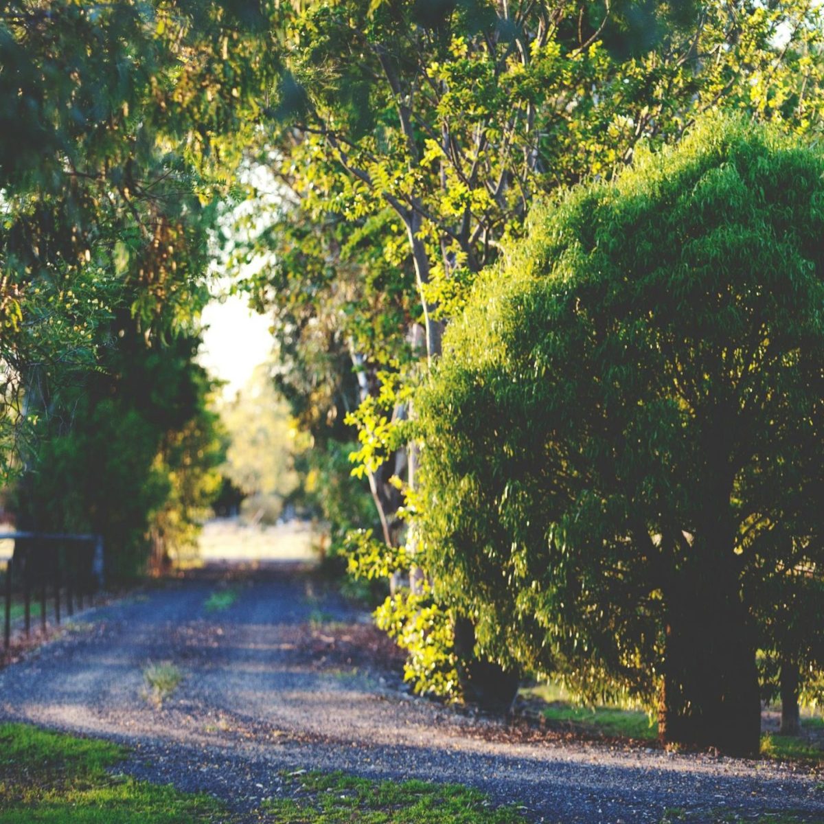 natalia-fogarty-ZnYWeC_vE34-unsplash